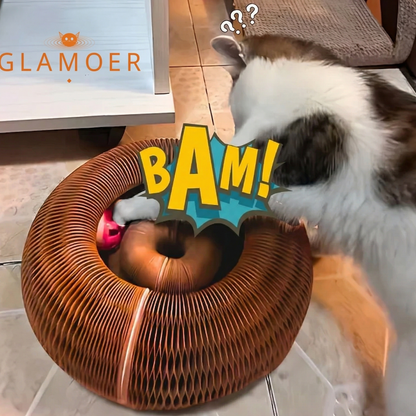 Cat playing with a cardboard toy shaped like a worm with 'BAM!' text, 