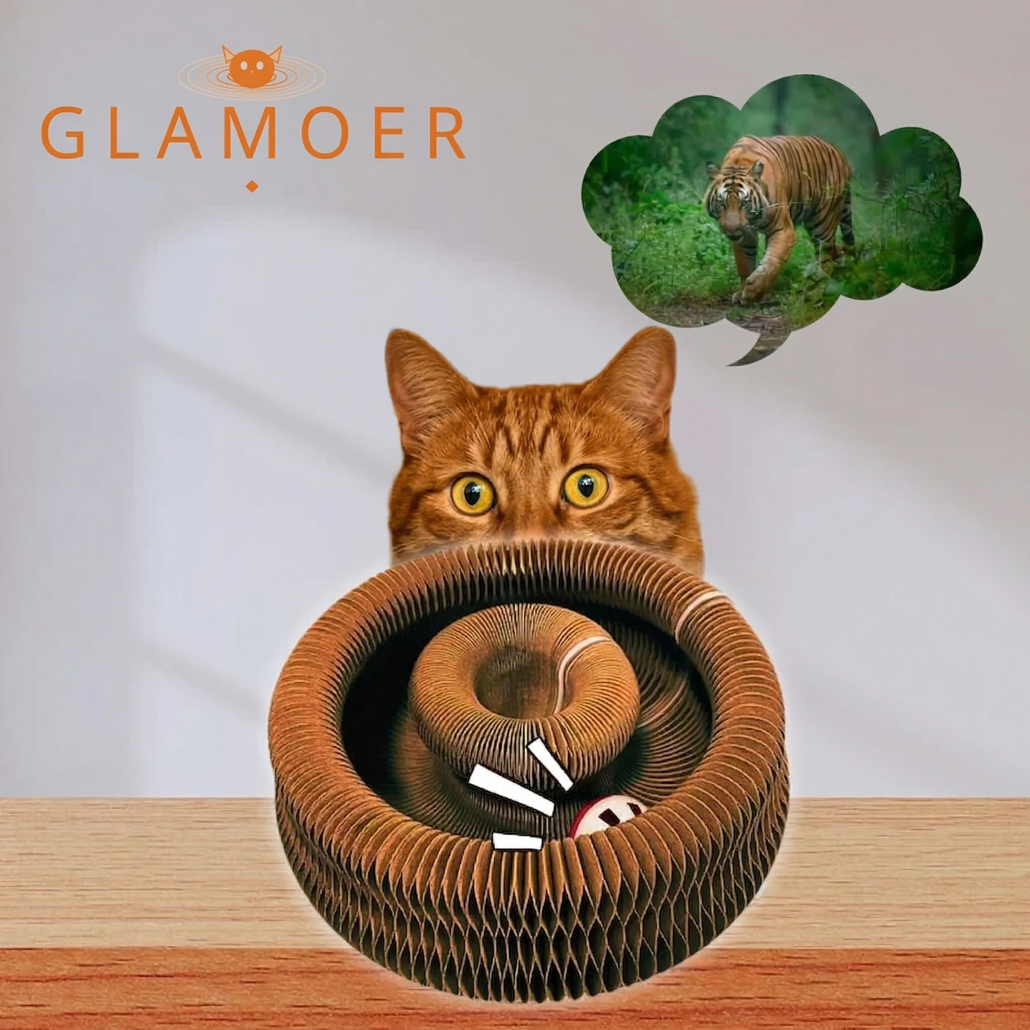 The Cat Awakening Toy